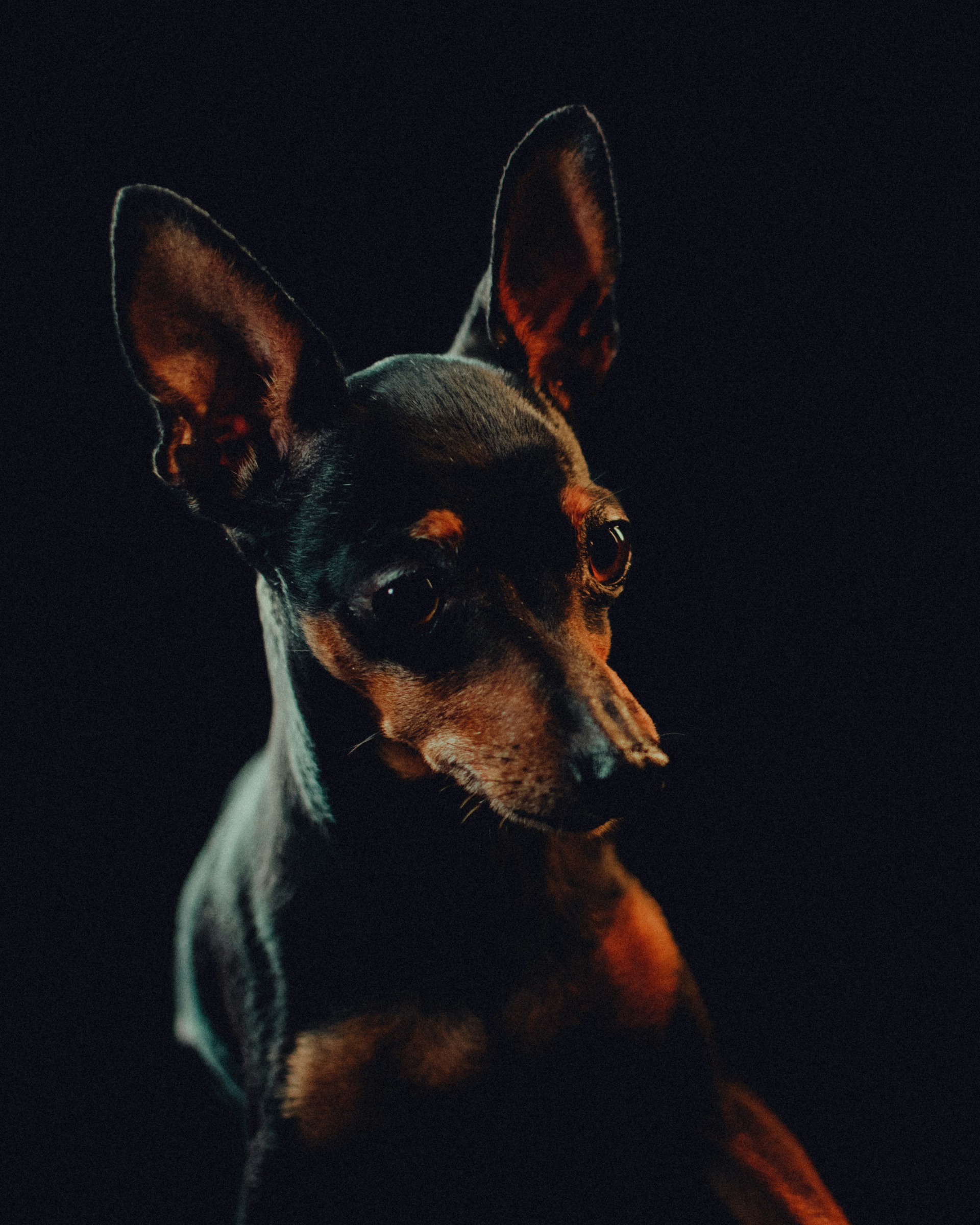 alberto-rodriguez-santana-QiFB6xjDiUg-unsplash
