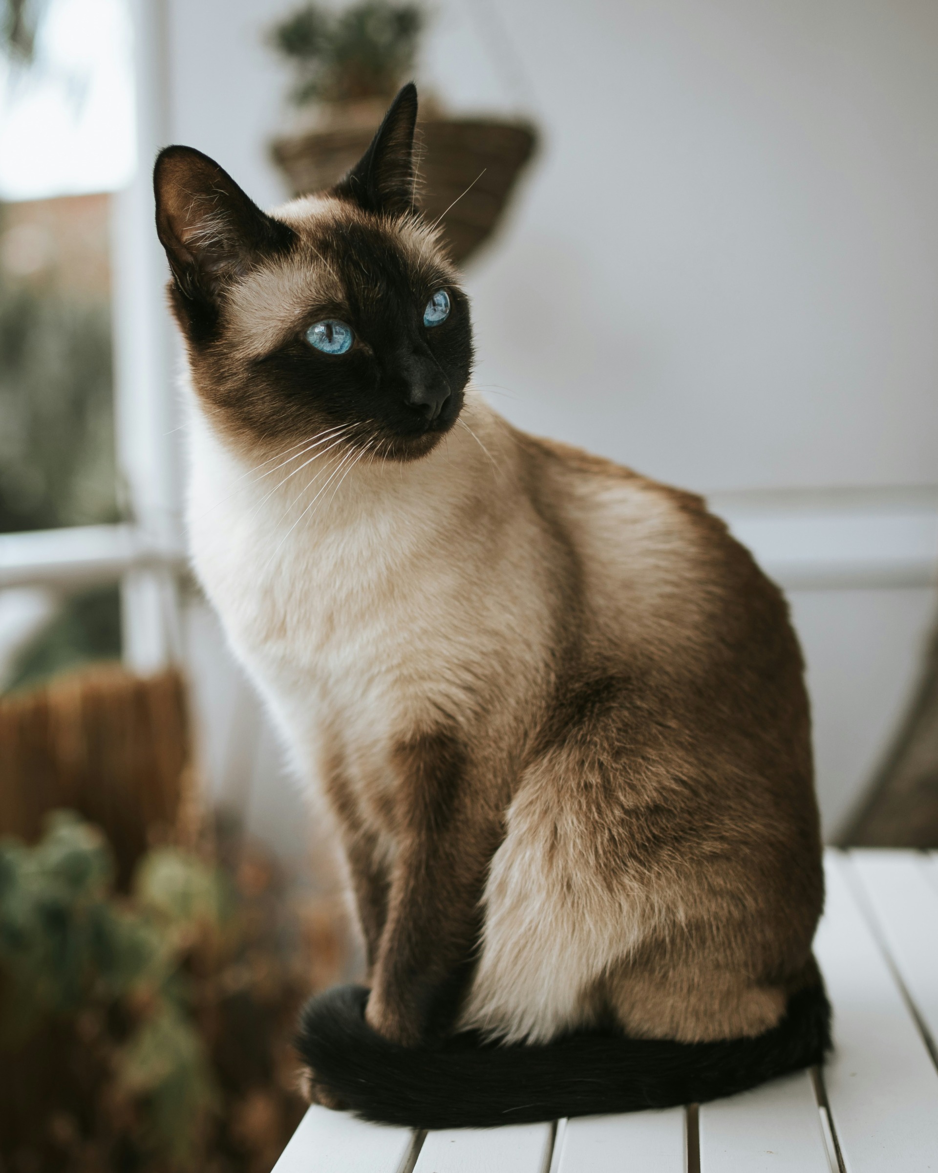 alex-meier-KGiQFgF7dkc-unsplash