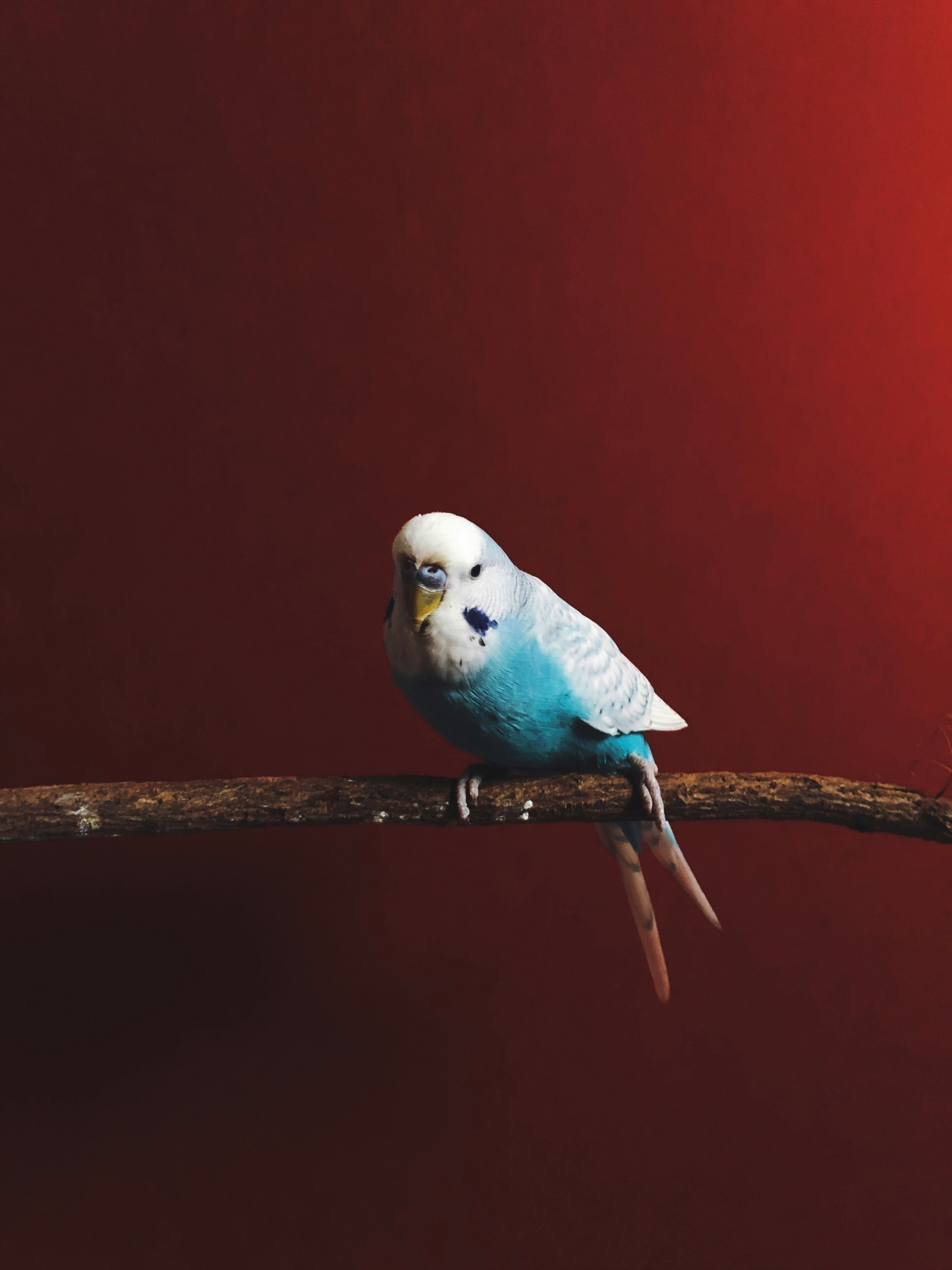 quintch-qIqhRlt8SnE-unsplash