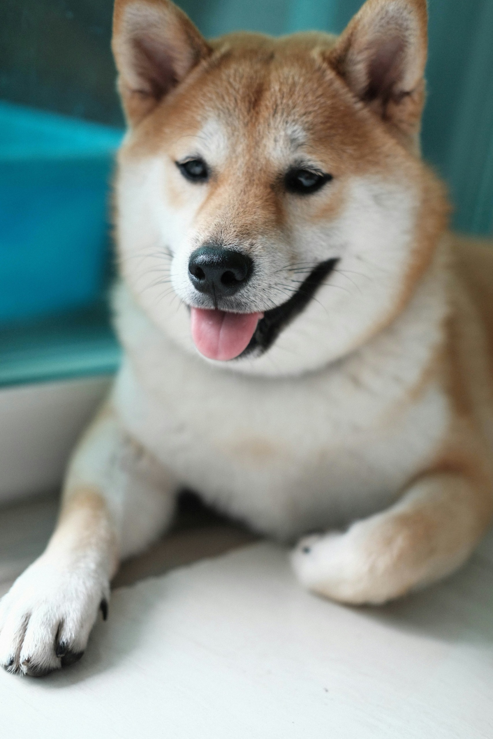 minh-pham-RSiqCjdmKPM-unsplash