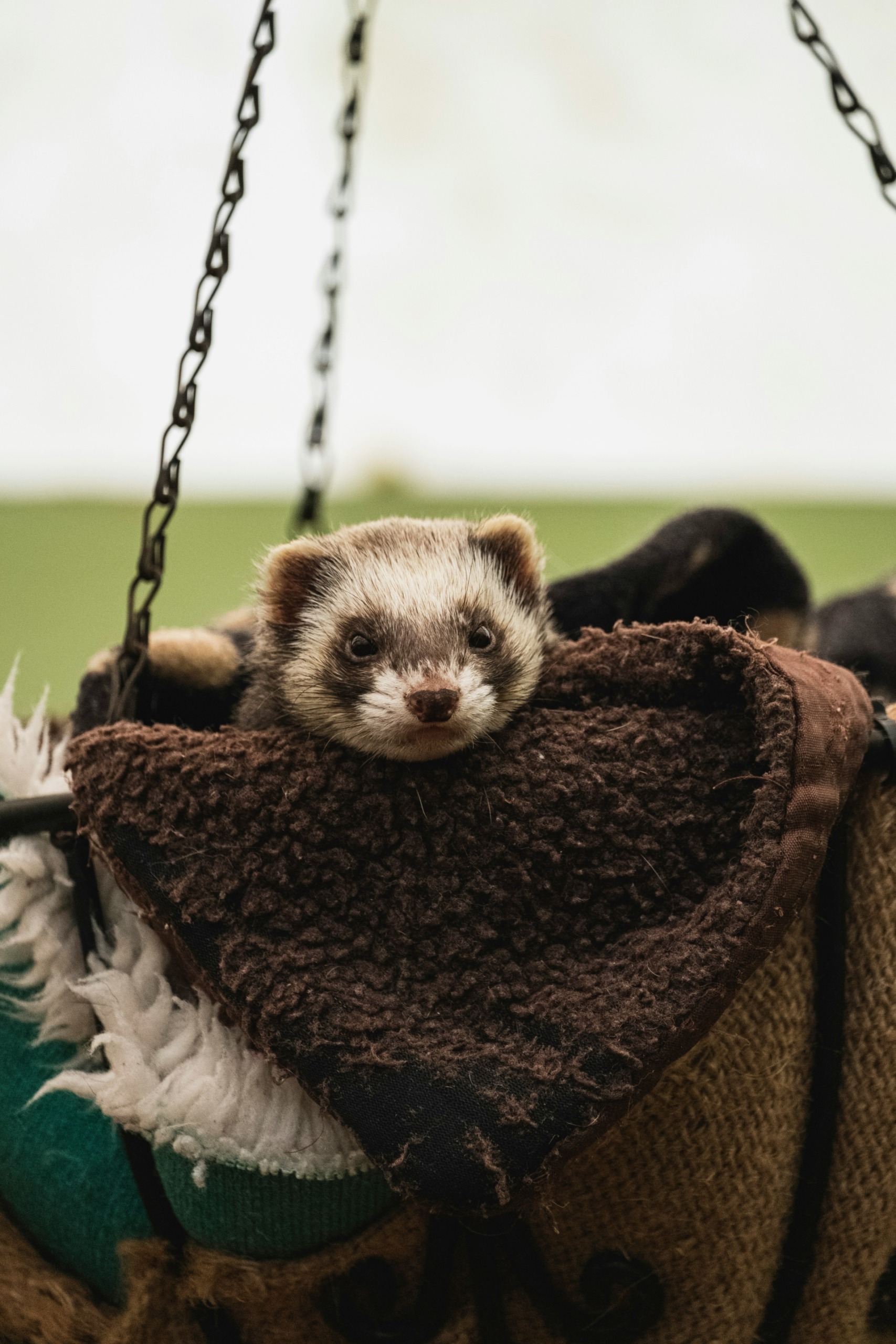 alfred-kenneally-hwqmbpDZkNI-unsplash