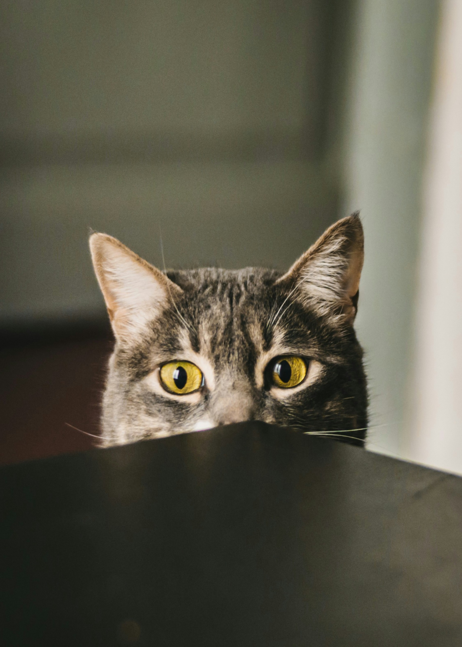 biel-morro-bsSIk3LV_NE-unsplash (1)