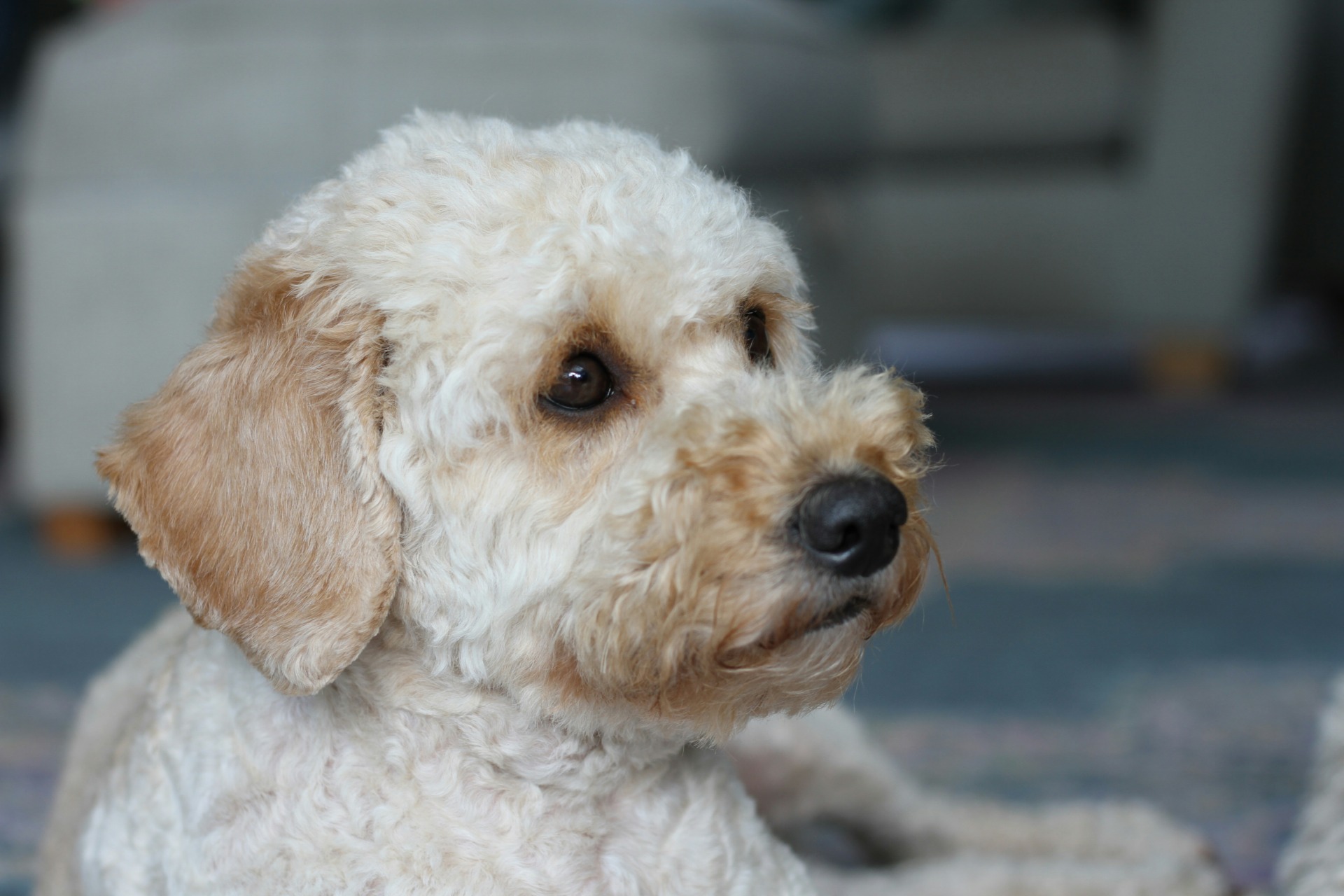 gary-lee-azqWJgPk9Pk-unsplash
