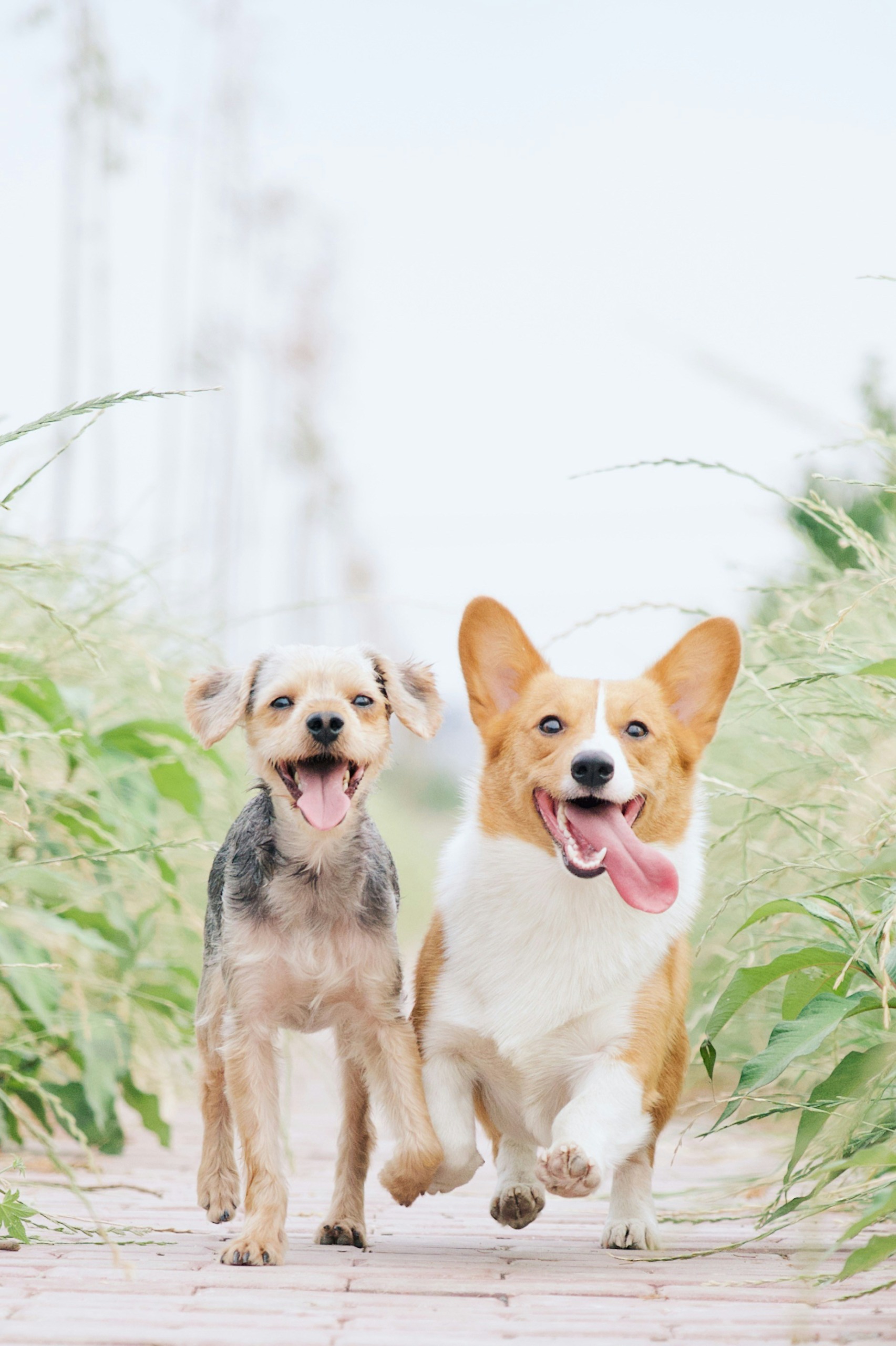 alvan-nee-1VgfQdCuX-4-unsplash