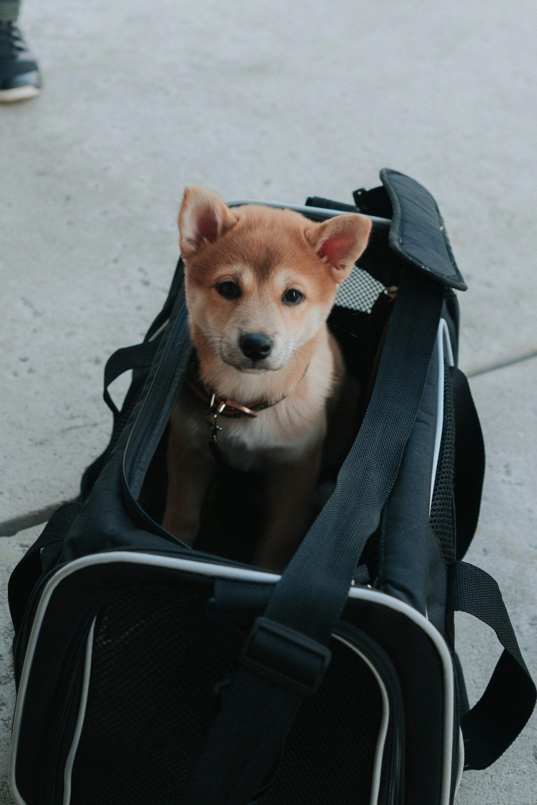 dex-ezekiel-fOqoxBDoMYE-unsplash